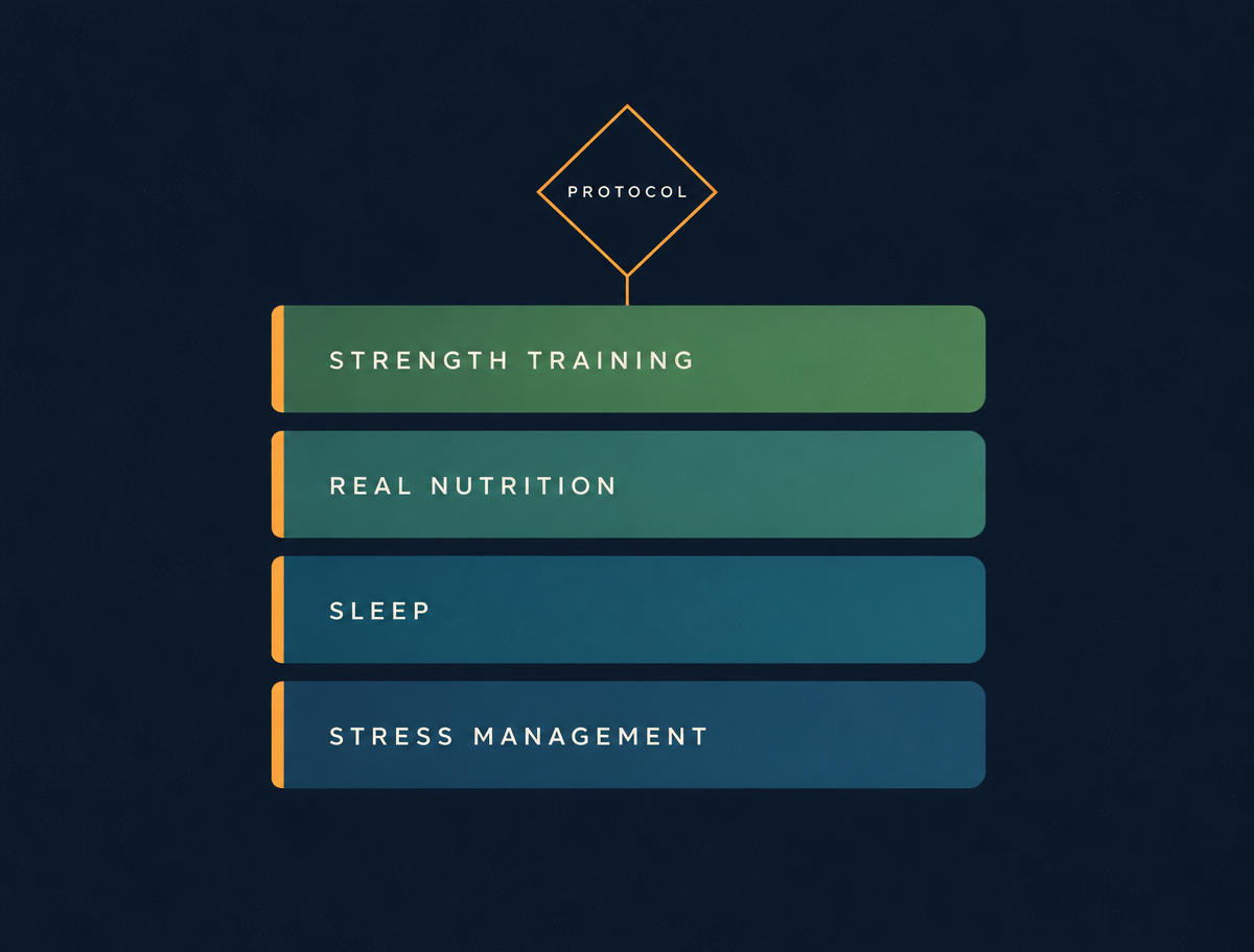 The Axis foundation: strength training, real nutrition, sleep and stress management, with protocol sitting on top of them